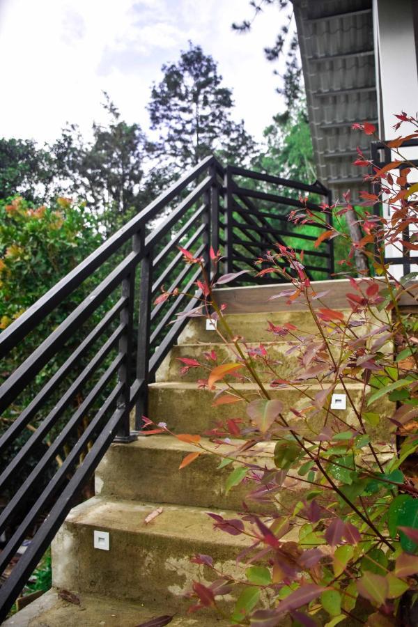 אלה Owinhill Cottage מראה חיצוני תמונה